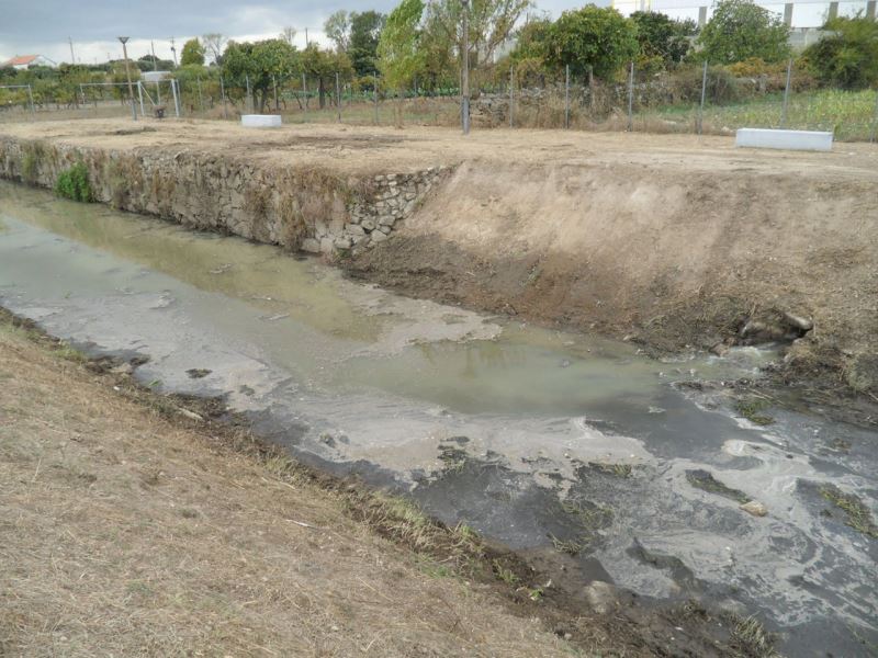 Alcains:  ARH quer minimizar poluição na ribeira da Líria